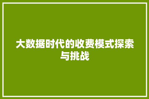 大数据时代的收费模式探索与挑战