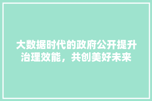 大数据时代的政府公开提升治理效能，共创美好未来 建站教程