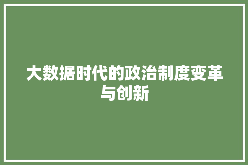 大数据时代的政治制度变革与创新 SEO教程