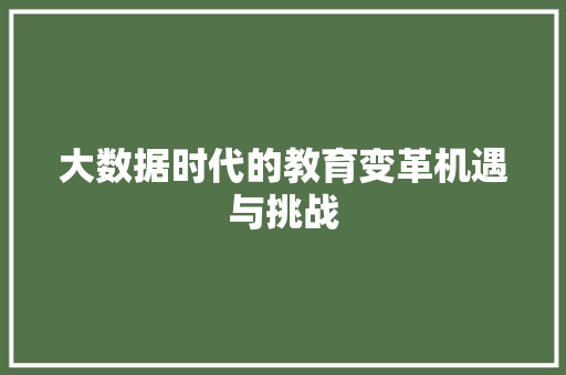 大数据时代的教育变革机遇与挑战 SEO教程