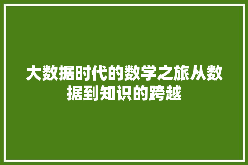 大数据时代的数学之旅从数据到知识的跨越