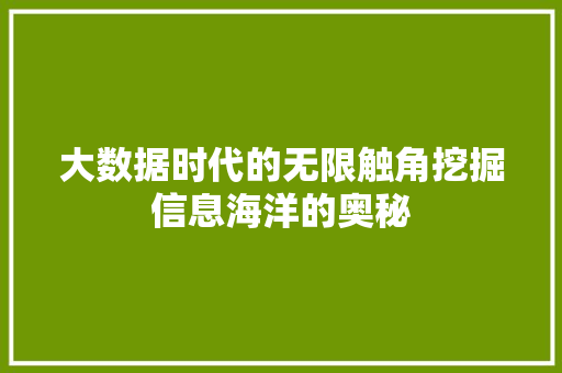 大数据时代的无限触角挖掘信息海洋的奥秘 建站教程