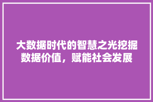 大数据时代的智慧之光挖掘数据价值，赋能社会发展