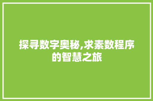 探寻数字奥秘,求素数程序的智慧之旅