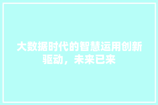大数据时代的智慧运用创新驱动，未来已来