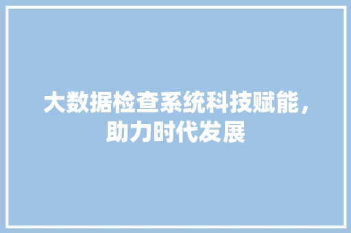 大数据检查系统科技赋能，助力时代发展