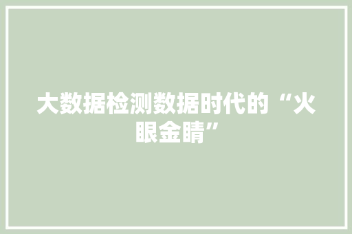 大数据检测数据时代的“火眼金睛”