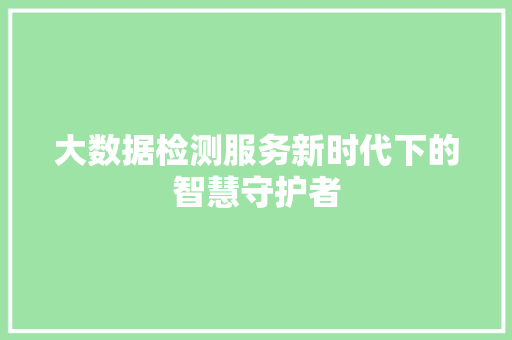 大数据检测服务新时代下的智慧守护者