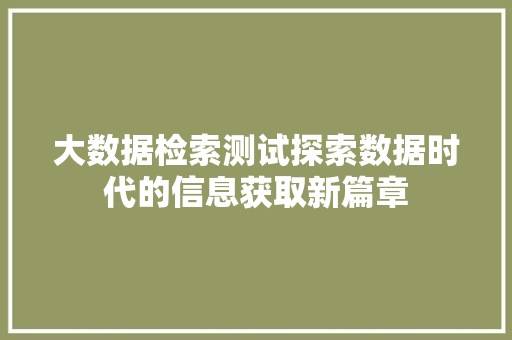 大数据检索测试探索数据时代的信息获取新篇章