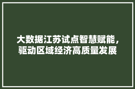 大数据江苏试点智慧赋能，驱动区域经济高质量发展 建站教程