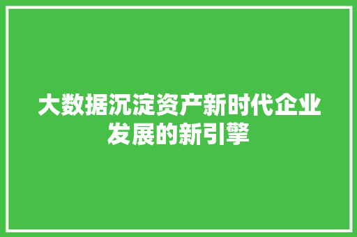 大数据沉淀资产新时代企业发展的新引擎