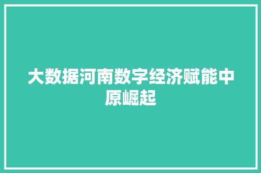大数据河南数字经济赋能中原崛起