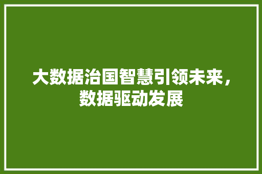 大数据治国智慧引领未来，数据驱动发展