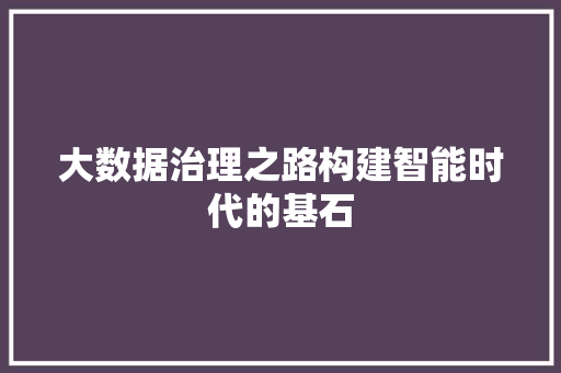 大数据治理之路构建智能时代的基石