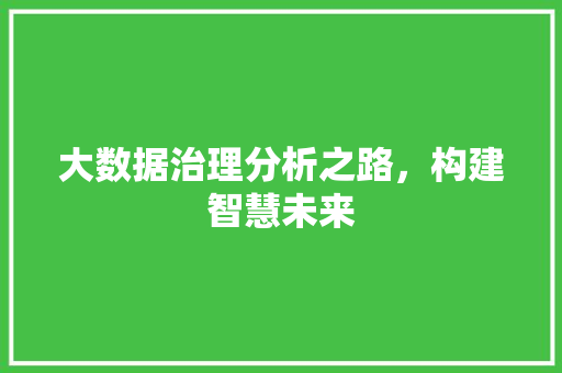 大数据治理分析之路，构建智慧未来