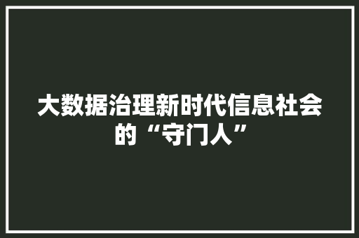 大数据治理新时代信息社会的“守门人”