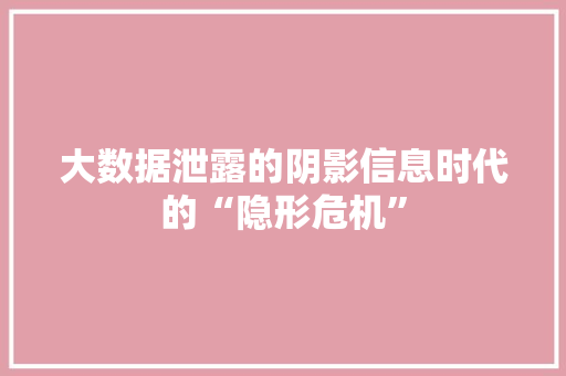 大数据泄露的阴影信息时代的“隐形危机”