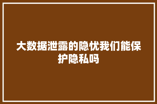 大数据泄露的隐忧我们能保护隐私吗