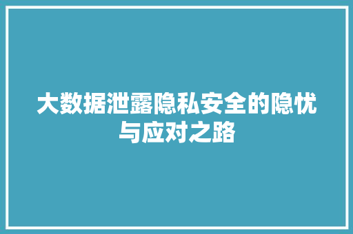 大数据泄露隐私安全的隐忧与应对之路