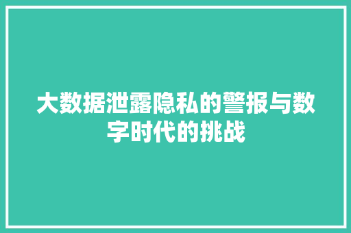 大数据泄露隐私的警报与数字时代的挑战