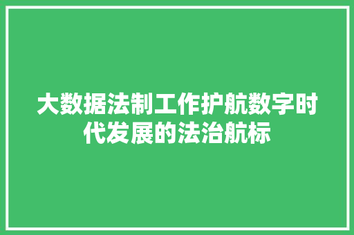 大数据法制工作护航数字时代发展的法治航标