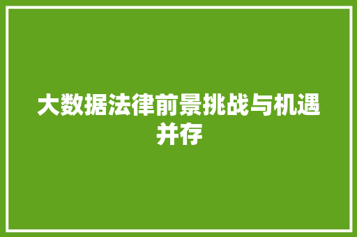 大数据法律前景挑战与机遇并存
