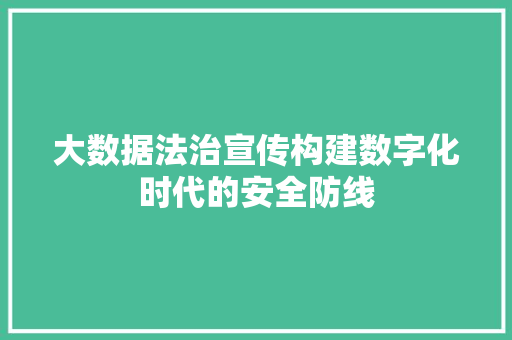 大数据法治宣传构建数字化时代的安全防线