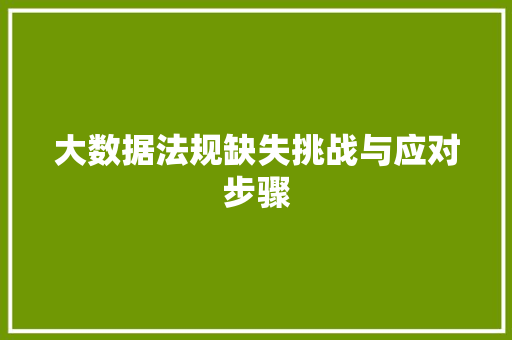 大数据法规缺失挑战与应对步骤