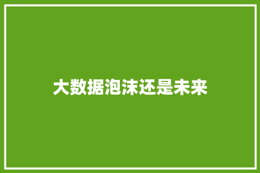大数据泡沫还是未来