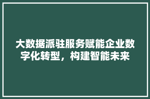 大数据派驻服务赋能企业数字化转型，构建智能未来