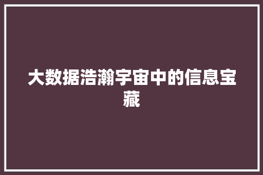 大数据浩瀚宇宙中的信息宝藏
