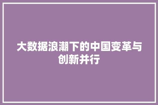 大数据浪潮下的中国变革与创新并行