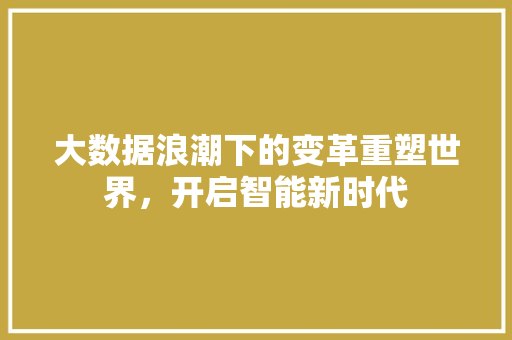 大数据浪潮下的变革重塑世界，开启智能新时代 Web前端