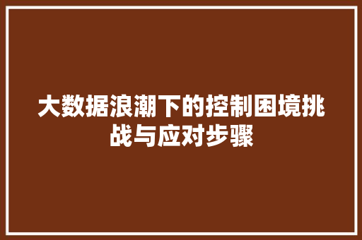 大数据浪潮下的控制困境挑战与应对步骤