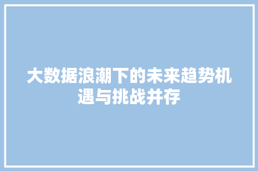 大数据浪潮下的未来趋势机遇与挑战并存
