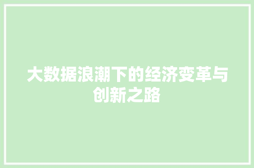 大数据浪潮下的经济变革与创新之路