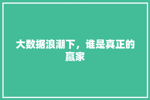 大数据浪潮下，谁是真正的赢家