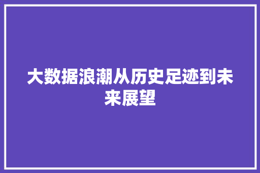 大数据浪潮从历史足迹到未来展望