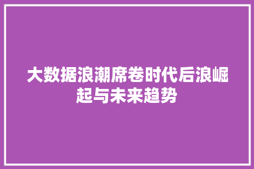 大数据浪潮席卷时代后浪崛起与未来趋势