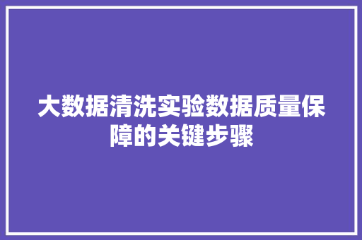 大数据清洗实验数据质量保障的关键步骤