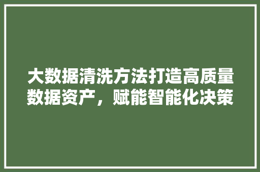 大数据清洗方法打造高质量数据资产，赋能智能化决策