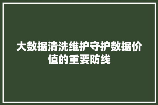 大数据清洗维护守护数据价值的重要防线