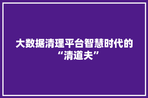 大数据清理平台智慧时代的“清道夫” 友链在线