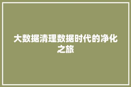 大数据清理数据时代的净化之旅 友链在线