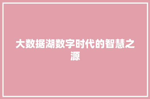 大数据湖数字时代的智慧之源