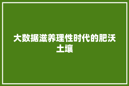 大数据滋养理性时代的肥沃土壤