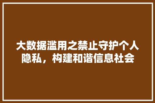 大数据滥用之禁止守护个人隐私，构建和谐信息社会 SEO教程