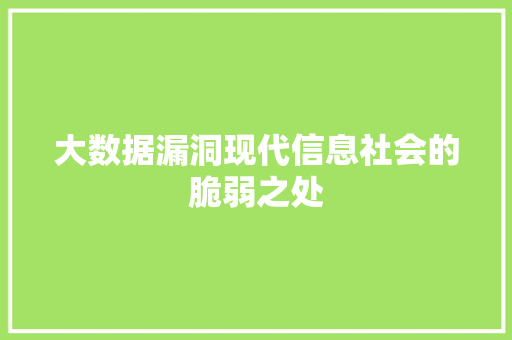 大数据漏洞现代信息社会的脆弱之处