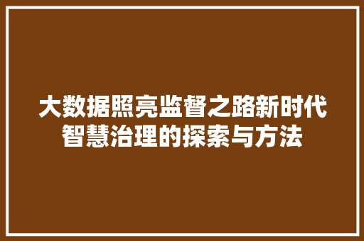 大数据照亮监督之路新时代智慧治理的探索与方法 友链在线