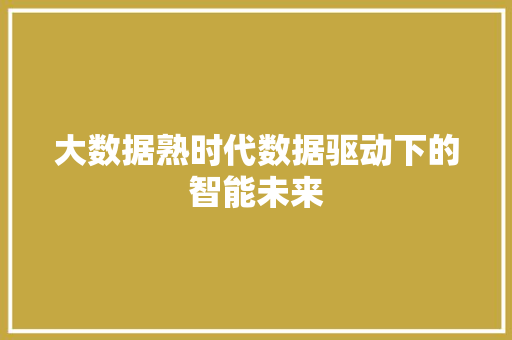 大数据熟时代数据驱动下的智能未来
